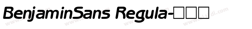 BenjaminSans Regula字体转换